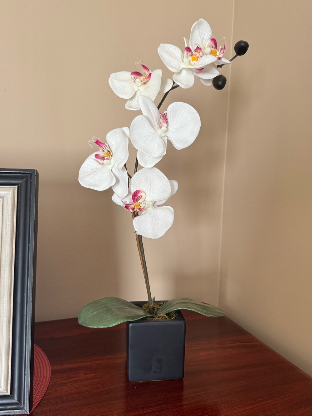 Artificial Orchid Phalaenopsis & Leaves in Black Pot Home Accent